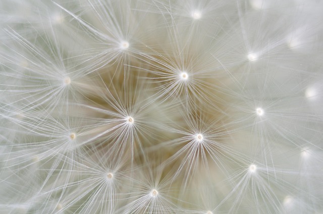 Close-up of a smartphone's vibration motor component